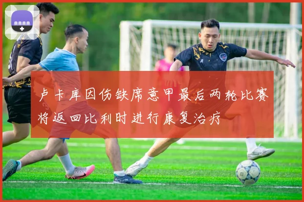 卢卡库因伤缺席意甲最后两轮比赛将返回比利时进行康复治疗